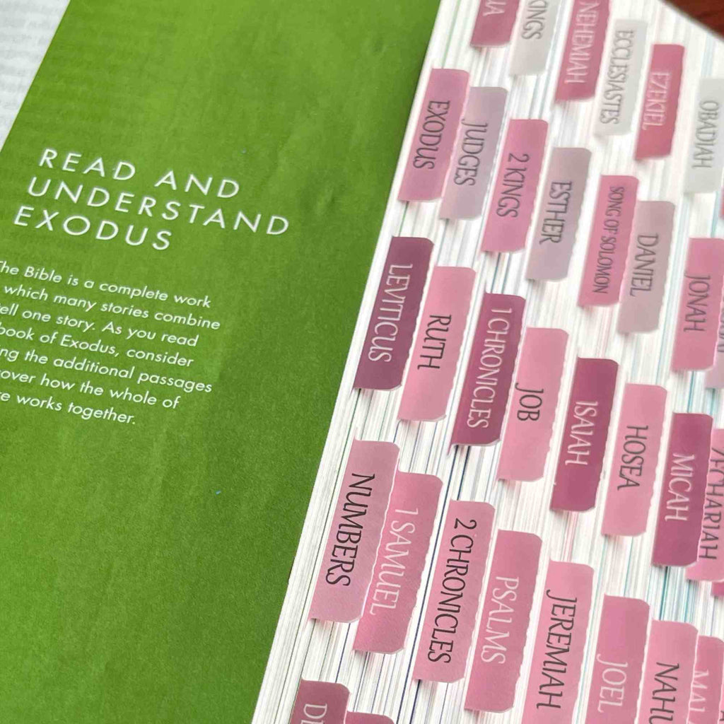 Bible Tabs, 80 White&Pink Tabs For Study Bible, Laminated Bible Tabs For Women And Men, Bible Journaling Supplies With Large Print Reposition Stickers Accessories