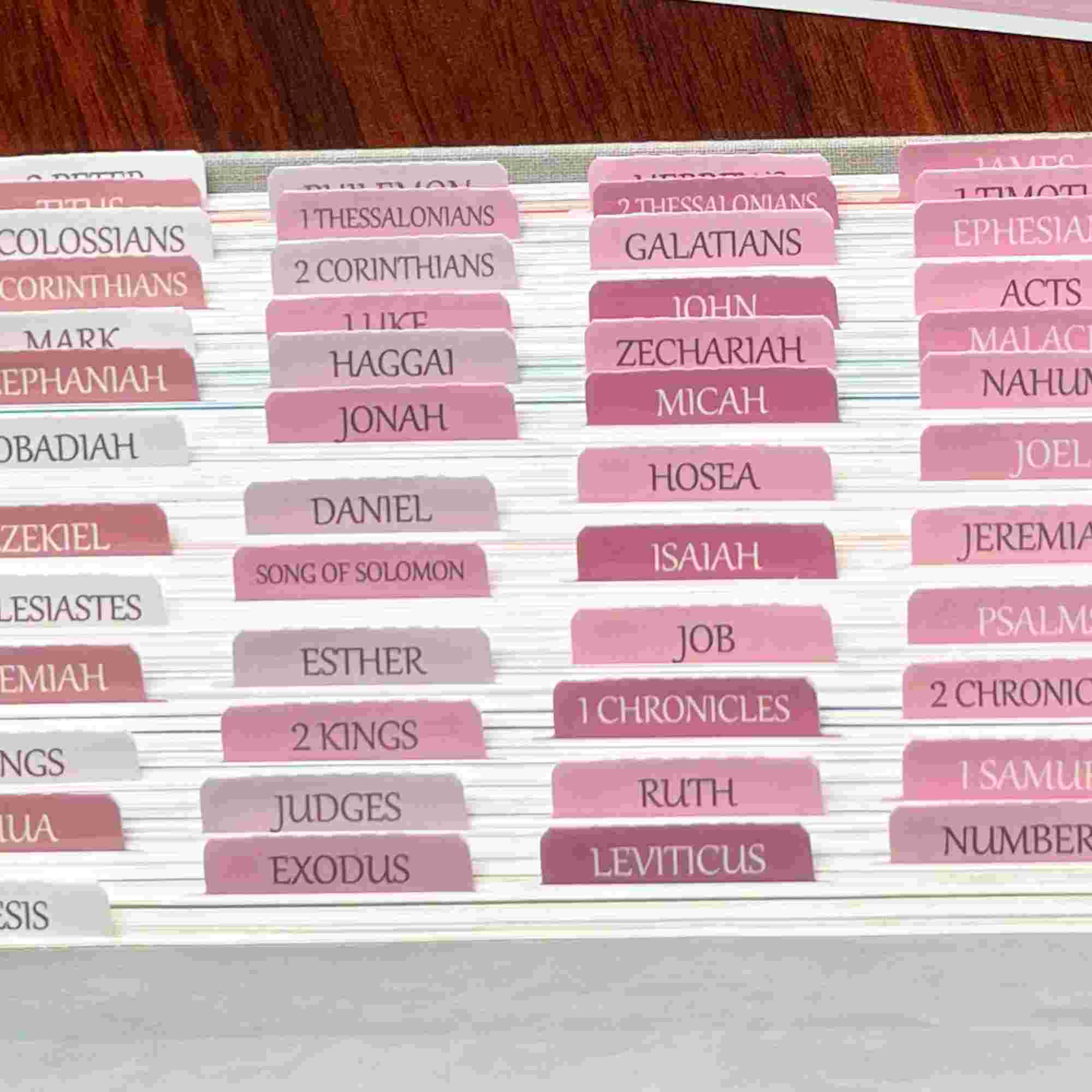 Bible Tabs, 80 White&Pink Tabs For Study Bible, Laminated Bible Tabs For Women And Men, Bible Journaling Supplies With Large Print Reposition Stickers Accessories